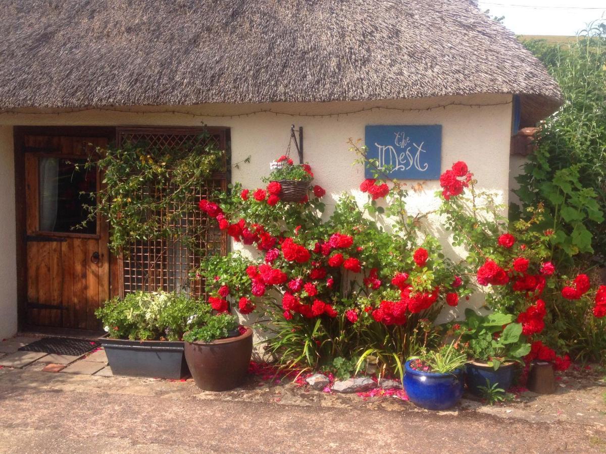 The Nest - Thatched Seaside Country Cottage For Two Stokeinteignhead Esterno foto