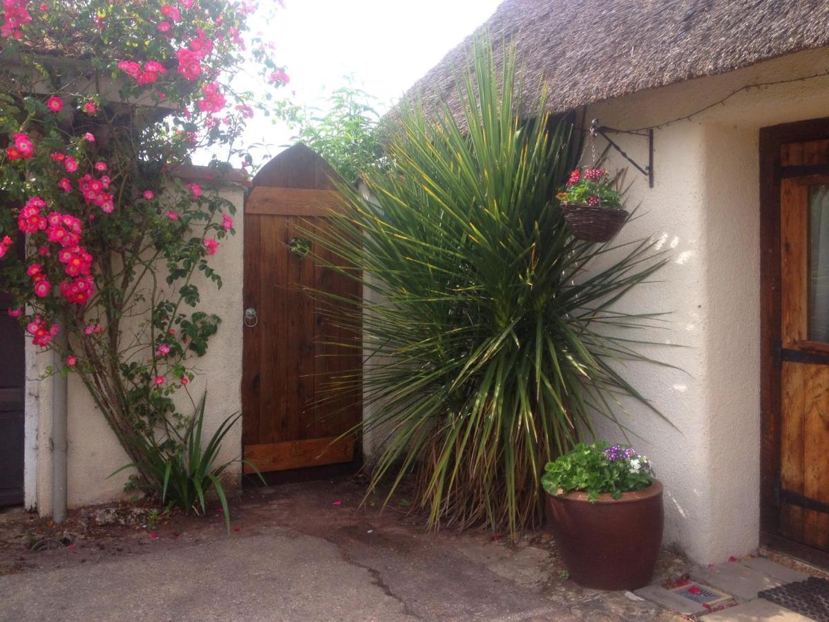 The Nest - Thatched Seaside Country Cottage For Two Stokeinteignhead Esterno foto