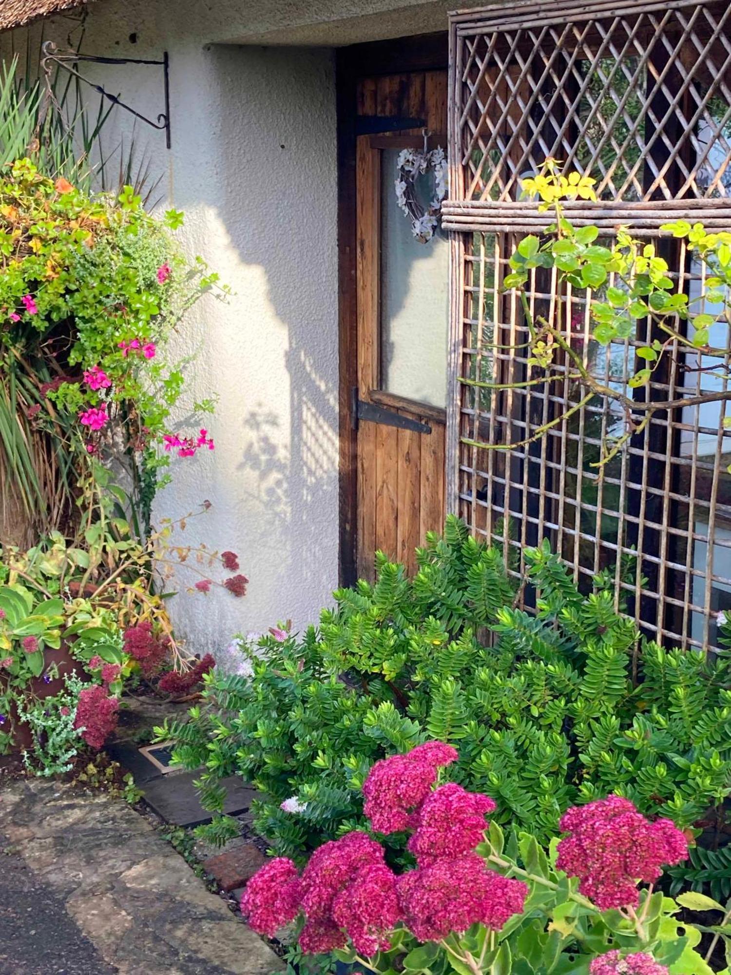 The Nest - Thatched Seaside Country Cottage For Two Stokeinteignhead Esterno foto