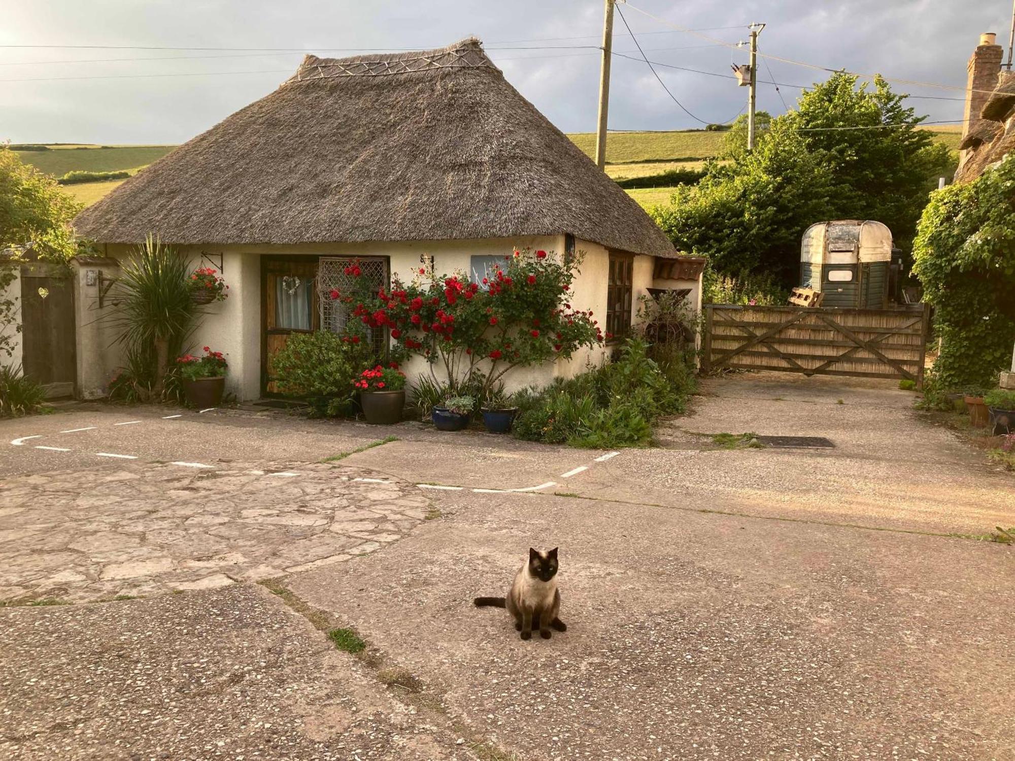 The Nest - Thatched Seaside Country Cottage For Two Stokeinteignhead Esterno foto
