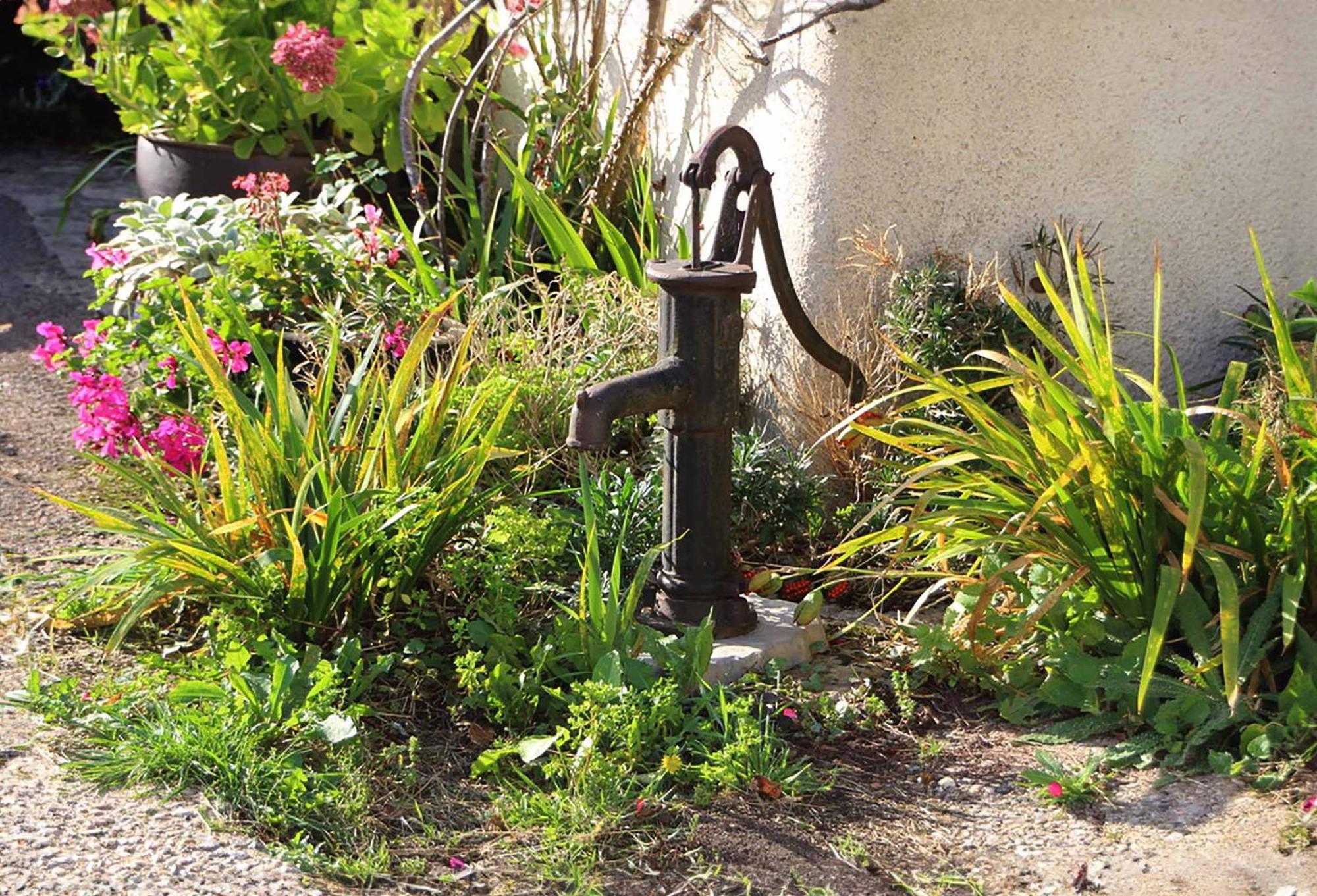 The Nest - Thatched Seaside Country Cottage For Two Stokeinteignhead Esterno foto
